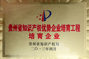 知识产权