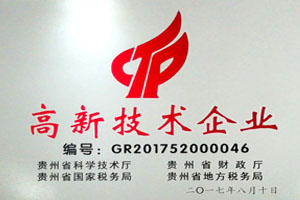 高新技术企业